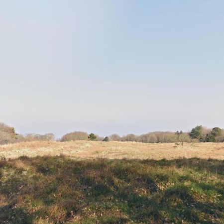 Apartment Hazenborgh Near Coast In Callantsoog Bagian luar foto